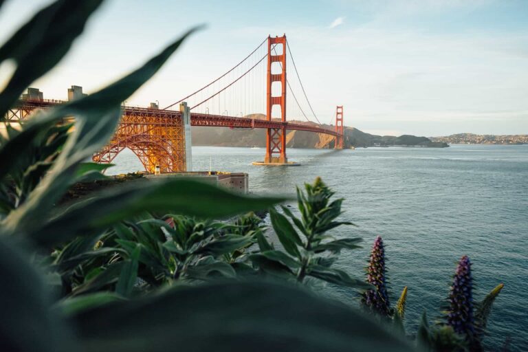 The Top Things to Do in San Francisco with Kids